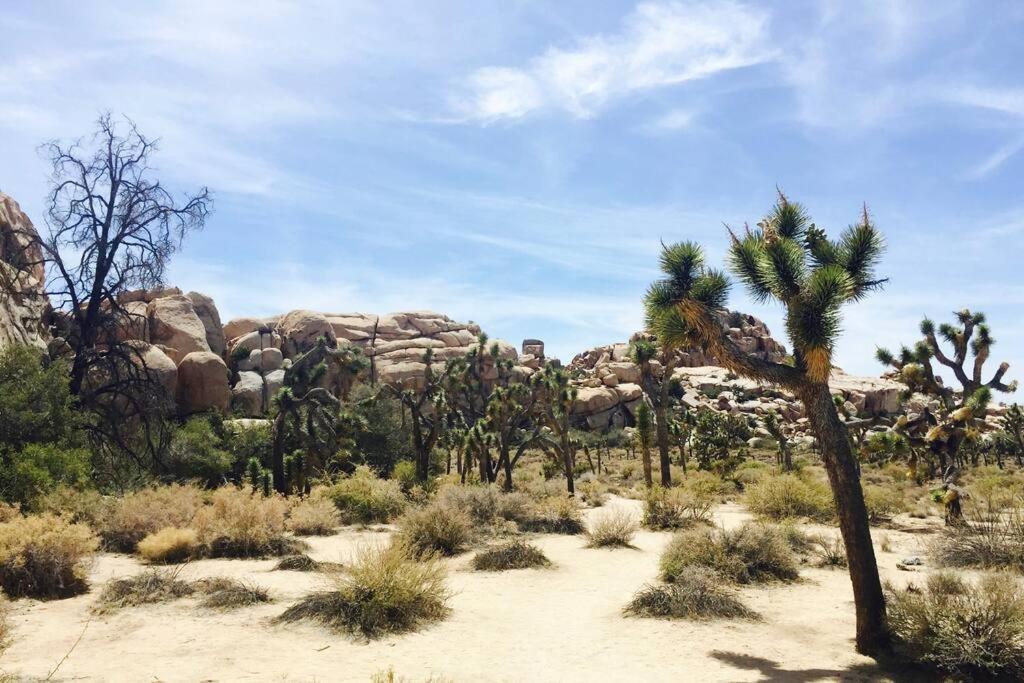Cozy Stylish Home In The Heart Of Jt Village Joshua Tree Luaran gambar